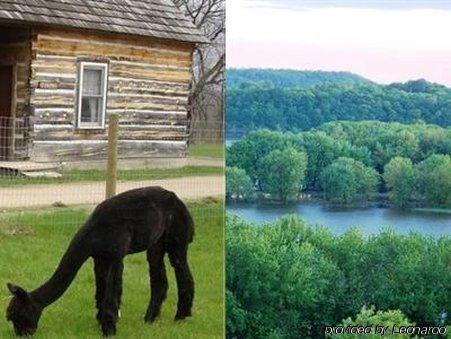 Galena Log Cabin Getaway Luaran gambar